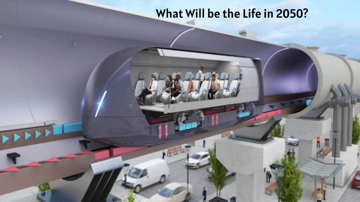 What Will be the Life in 2050?