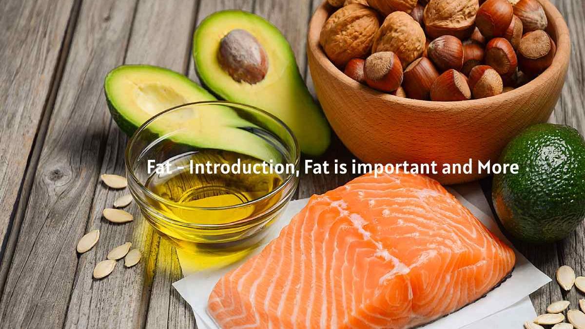 Fat – Introduction, Fat is important and More