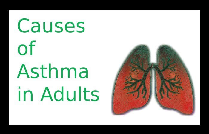 Causes of Asthma in Adults