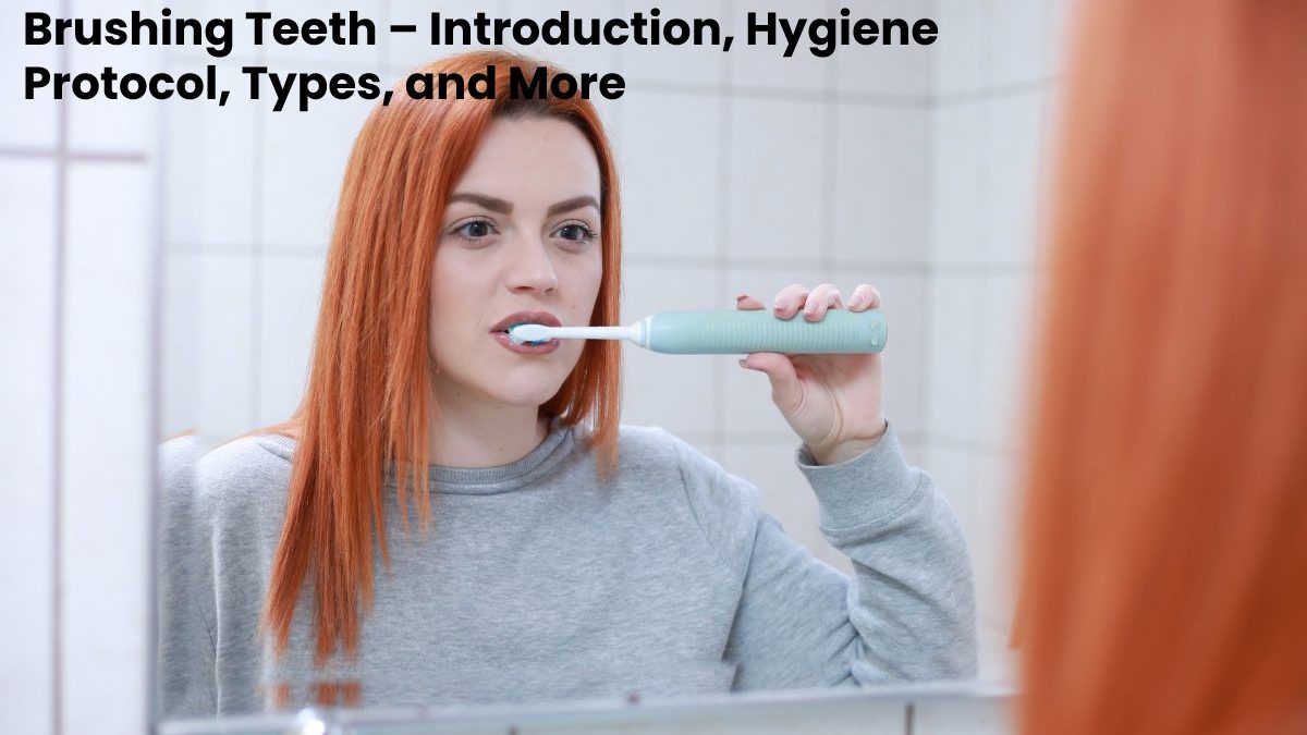Brushing Teeth – Introduction, Hygiene Protocol, Types, and More