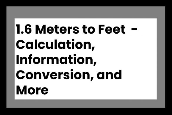 1.6 Meters to Feet - Calculation, Information, Conversion, and More