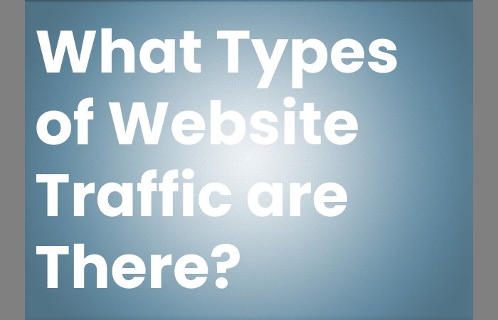 What Types of Website Traffic are There?