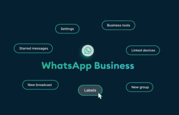 WhatsApp Business (3)