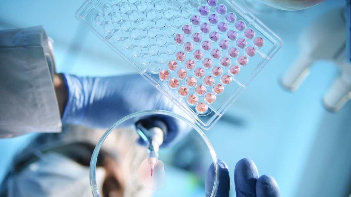 What Are Clinical Trials?