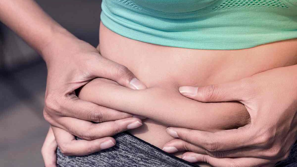 Fat – Introduction, Fat is important and More