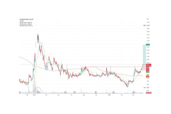 NSE: Pilita