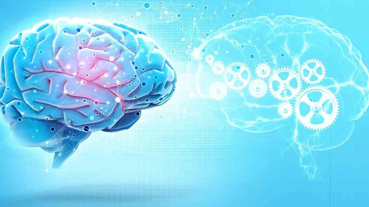 New Device: Computer Brain Simulates Human Learning